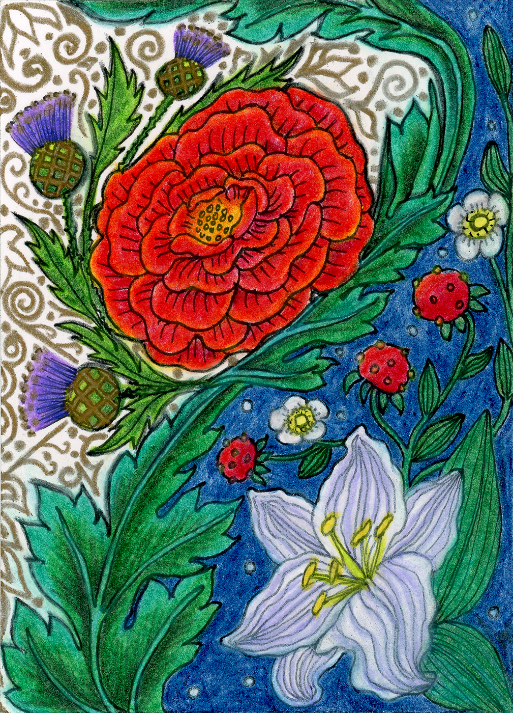 A drawing in the style of a medieval illuminated manuscript, showing a white lily in the lower right corner surrounded by strawberries and their flowers, against a starry sky, with acanthus leaves curling diagonally from the lower left corner to the upper right corner. On the left side of the acanthus leaves is a red rose surrounded by thistles, with gold embellishments on the white background.